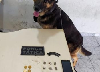Polícia Militar prende traficante de drogas em São Mateus