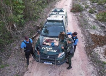 Polícia Militar Ambiental realiza apreensões em ações contra caçadores no Norte do ES