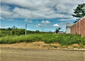 Prefeitura alerta para limpeza em lotes particulares