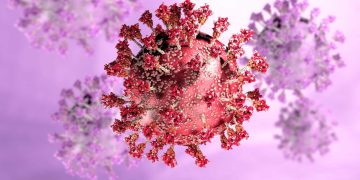 São Paulo tem primeiro caso da variante Arcturus da Covid-19