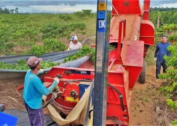 Policia Militar inicia Operação Colheita em Jaguaré