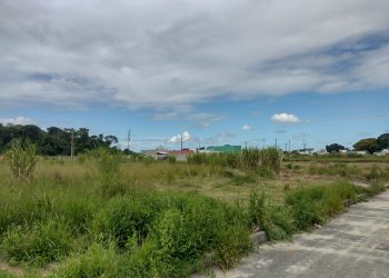 Prefeitura de Jaguaré pede a colaboração da população na limpeza de lotes urbanos
