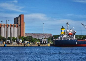 Exportações do agronegócio do ES alcançam US$ 848,9 milhões em 2023