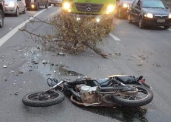 Motociclista morre após bater de frente com carreta em Ibiraçu