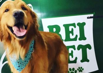 Policial de MG que atirou em cão de influenciadora do ES é solto e proibido de usar arma de fogo