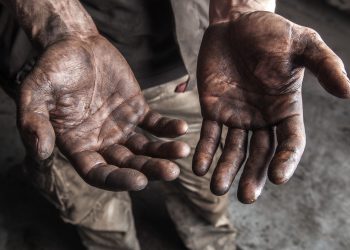 532 pessoas foram regatadas da condição de trabalho escravo em agosto