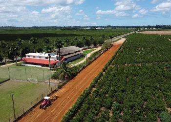 De olho no progresso Prefeitura de Jaguaré investe em melhorias das estradas rurais