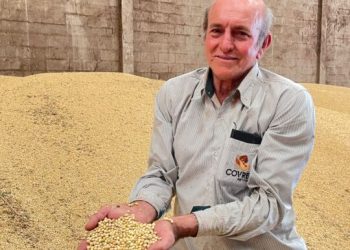 Produtores capixabas apostam no plantio de soja em Pinheiros