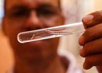Dengue: ES está entre os 3 estados com maiores índices de incidência, diz MS