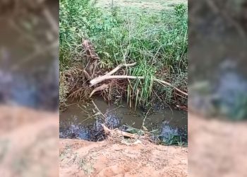 Mulher morre após ser sequestrada em praça e bandido capotar com carro