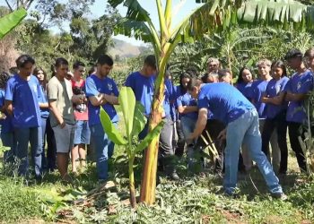 Escolas agrícolas renovam conhecimento e preparam jovens para voltar ou ficar no campo e tocar o negócio da família no ES