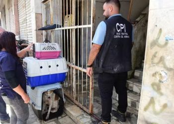 Polícia é acionada para apurar maus-tratos a animais e encontra família em situação análoga à escravidão em Vitória