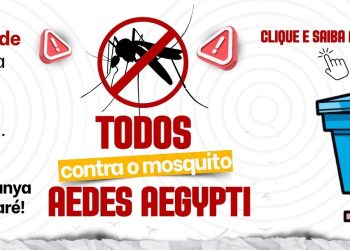 Entenda os sinais da chikungunya e descubra como tratar