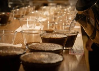 Cooabriel vai premiar os melhores cafés conilon de 2025