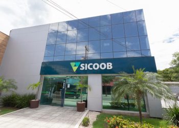 Sicoob assina acordo com Sebrae e possibilita mais crédito a pequenas empresas