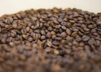 Tarifaço de Trump: setores do agronegócio do Espírito Santo reagem ao aumento das tarifas