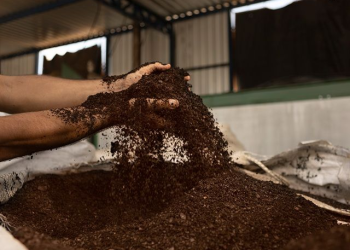 Borra de café vira biometano!