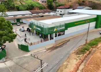 Seis empresas do agronegócio capixaba faturaram acima de R$ 1 bilhão em 2024