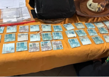 Polícia Federal mira grupo do ES e MG que enviava brasileiros aos EUA