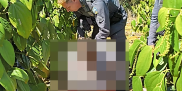 Suspeito de matar companheira a tiros em Linhares é preso